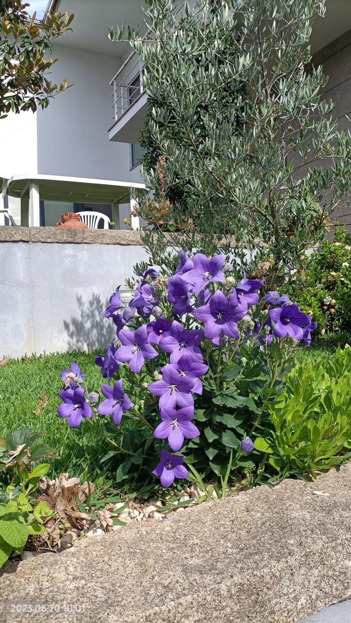 Holiday home Areias Village